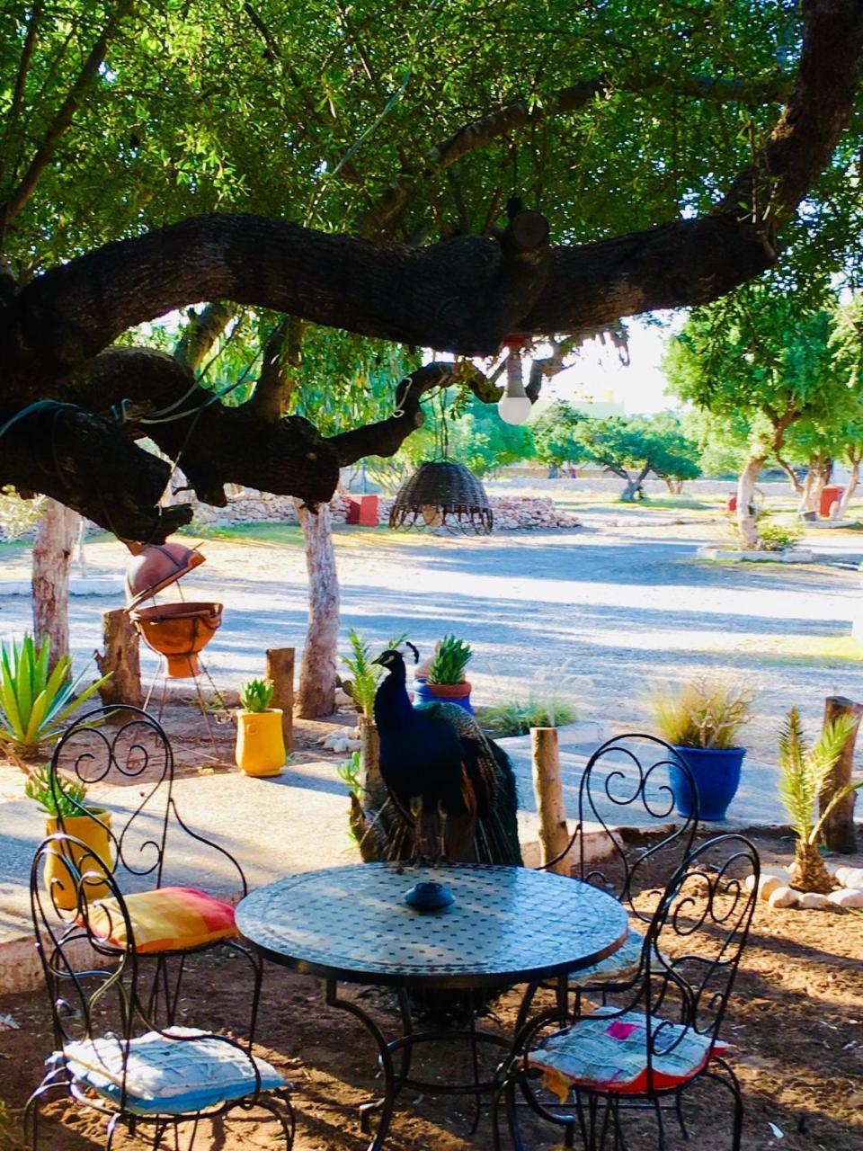 Camping & Hotel Le Calme الصويرة المظهر الخارجي الصورة